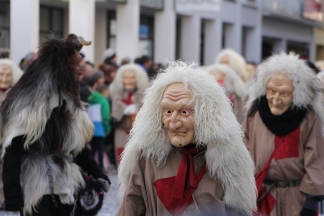 Etzel-H&auml;xe Pf&auml;ffikon - L&ouml;rrach _c033666.jpg