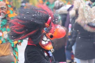 Haugemer Sunner&uuml;pfel - R&uuml;mmingen _c034080.jpg