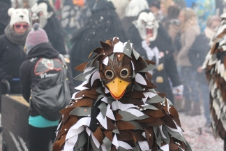 H&uuml;siger Kuckuck - R&uuml;mmingen _c034214.jpg