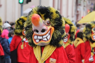 Wiese Waggis L&ouml;rrach - Binzen _c033090.jpg