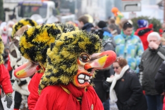 Wiese Waggis L&ouml;rrach - R&uuml;mmingen _c034249.jpg