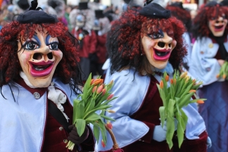 Wiler R&auml;tschgosche - L&ouml;rrach _c033330.jpg