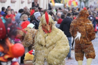 Zweidotter-H&uuml;hner Adelsberg - Binzen _c032478.jpg